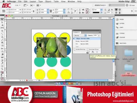 Photo of InDesign CS5 Effects
