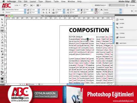 Photo of InDesign CS5 Preferences